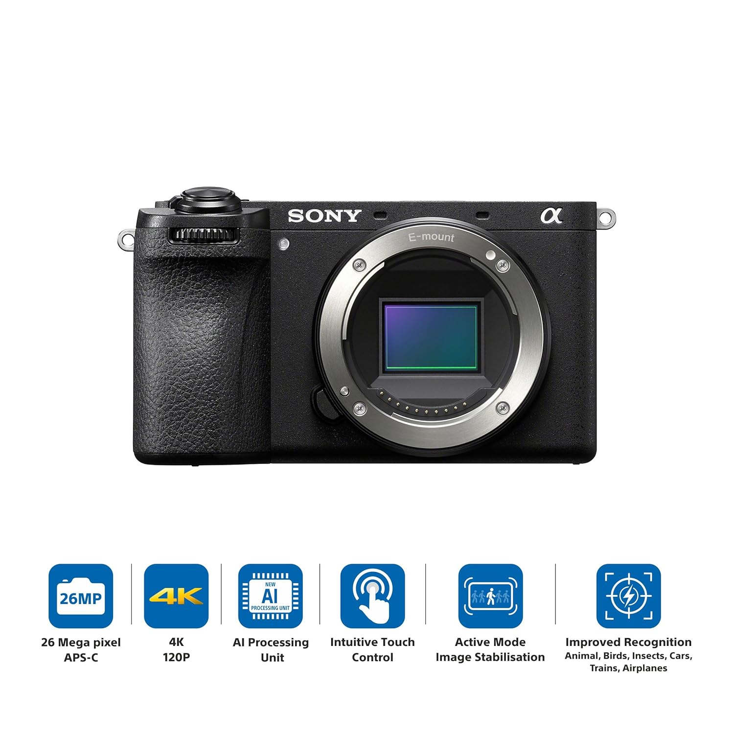 Best Budget Hybrid Sony Camera