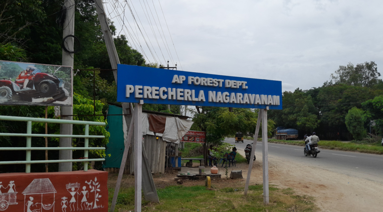 Perecharla Nagaravanam Park
