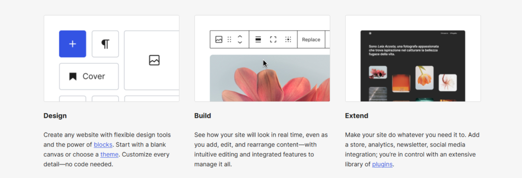 Website Design